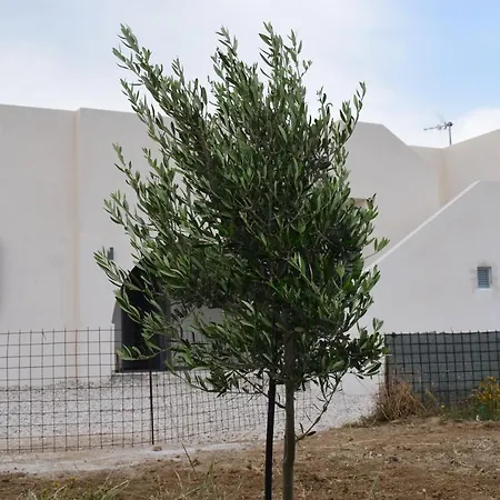 Ktima Panagia Apartament *